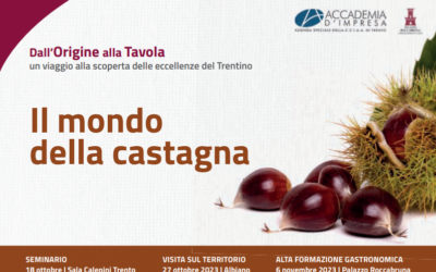 Dall’origine alla Tavola: il mondo della castagna