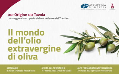 Dall’origine alla Tavola: il mondo dell’olio